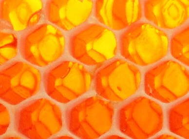 The Honey Pot - Tourism Caloundra 0