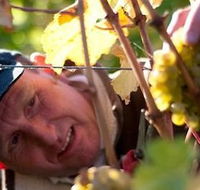 Puddleduck Vineyard - Tourism Caloundra