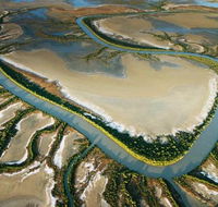 The Wilderness Gallery - Tourism Caloundra