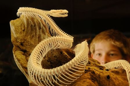 Araluen Cultural Precinct - Tourism Caloundra 4