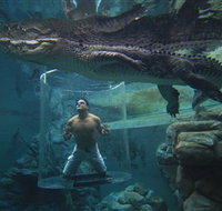 Crocosaurus Cove - Tourism Caloundra