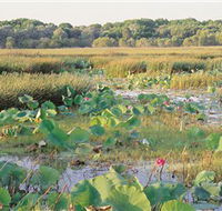 Fogg Dam Conservation Reserve - Tourism Caloundra