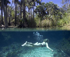 Bitter Springs - Tourism Caloundra 0