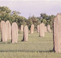 Magnetic Termite Mounds - Tourism Caloundra