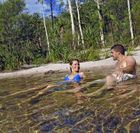 Tjaynera/Sandy Creek Falls - Tourism Caloundra