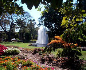 George Brown Darwin Botanic Gardens - Tourism Caloundra 0