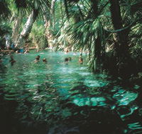 Mataranka Thermal Pool - Tourism Caloundra