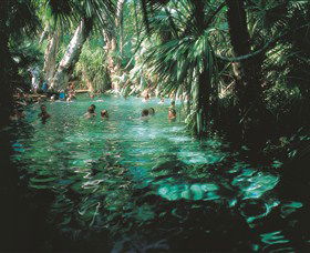 Mataranka Thermal Pool - Tourism Caloundra 0