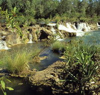 Flora River Nature Park - Tourism Caloundra