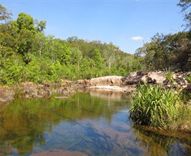 Maguk - Tourism Caloundra 0