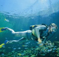 Kirra Reef Dive Site - Tourism Caloundra