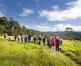 Springbrook QLD Tourism Caloundra