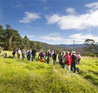 Apple Tree Park - Tourism Caloundra
