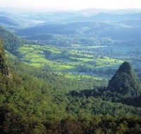 Springbrook Plateau Springbrook National Park - Tourism Caloundra