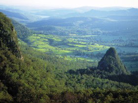 Springbrook Plateau, Springbrook National Park - Tourism Caloundra 0