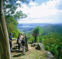 Gold Coast Hinterland Great Walk - Tourism Caloundra