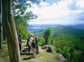 Gold Coast Hinterland Great Walk - Tourism Caloundra 0