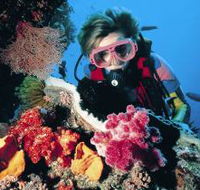 Cook Island Dive Site - Tourism Caloundra