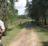 Coombabah Lakes Conservation Area - Tourism Caloundra