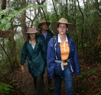 Mount Cougal Springbrook National Park - Tourism Caloundra