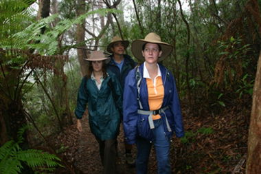 Mount Cougal, Springbrook National Park - Tourism Caloundra 0