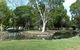 McIntosh Island Park - thumb 0