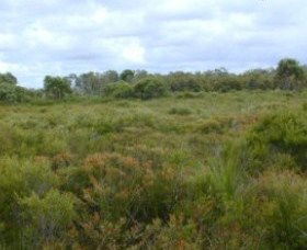 Pine Ridge Conservation Park - Tourism Caloundra 0