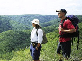 Sunshine Coast Hinterland Great! Walk - Tourism Caloundra 0