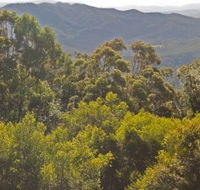Conondale National Park - Tourism Caloundra