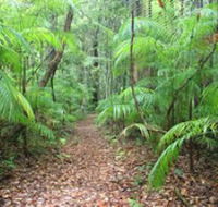 Delicia Road Conservation Park - Tourism Caloundra