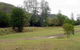 Brooyar State Forest - thumb 0