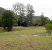Brooyar State Forest - Tourism Caloundra