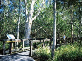 Noosa Heads QLD Tourism Caloundra