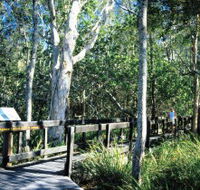 Kinaba Track - Tourism Caloundra