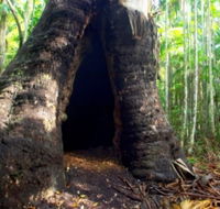 Tewantin National Park - Tourism Caloundra