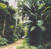 Conondale Great Walk - Tourism Caloundra