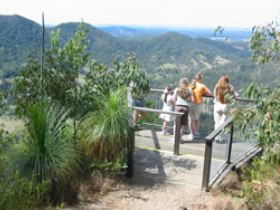 Mapleton Forest Reserve - Tourism Caloundra 0
