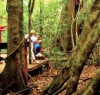 Mary Cairncross Scenic Reserve - Tourism Caloundra