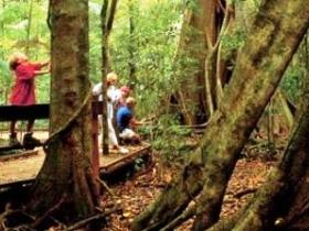 Mary Cairncross Scenic Reserve - Tourism Caloundra 0
