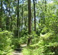 Mapleton Falls National Park - Tourism Caloundra