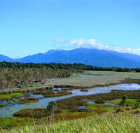 Eubenangee Swamp National Park - Tourism Caloundra