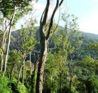 Smiths Track Barron Gorge National Park - Tourism Caloundra