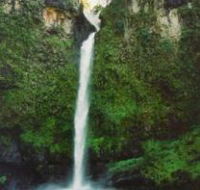 Nandroya Falls Circuit Track Wooroonooran National Park - Tourism Caloundra