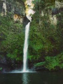 Nandroya Falls Circuit Track, Wooroonooran National Park - Tourism Caloundra 0