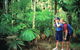 Mount Sorrow Ridge Trail, Daintree National Park - thumb 0