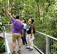 Daintree Discovery Centre - Tourism Caloundra