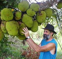 Cape Trib Exotic Fruit Farm - Tourism Caloundra