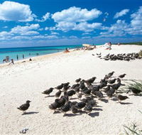 Michaelmas and Upolo Cays National Park - Tourism Caloundra