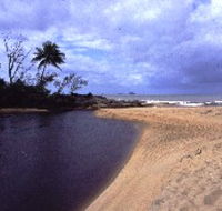Russell River National Park - Tourism Caloundra