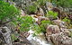 Crows Nest National Park - thumb 0
